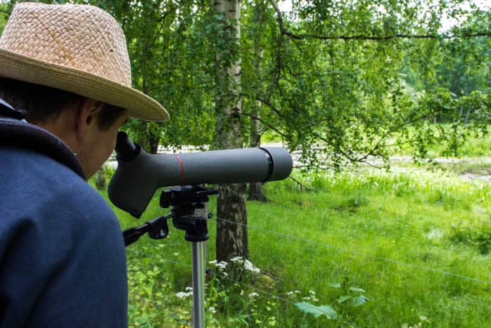 Young man is looking through the telescope bird watching